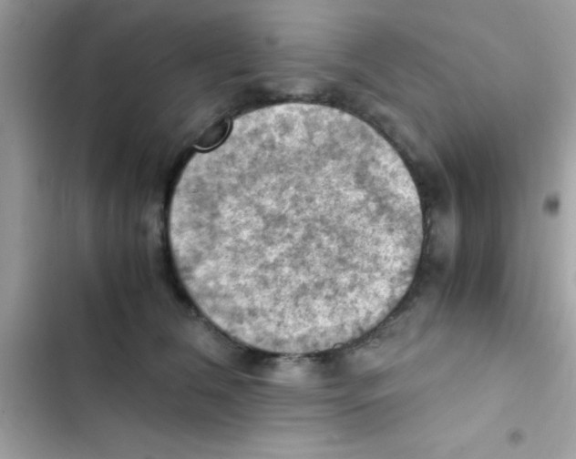 X0000103140612200809192007