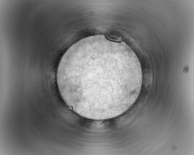 X0000103140613200809192007