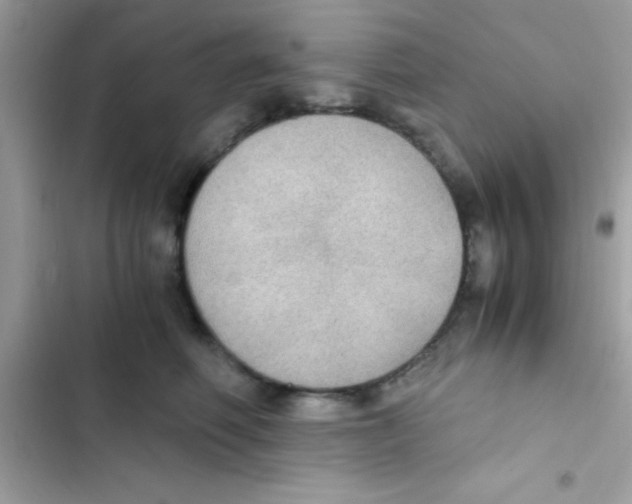 X0000103140614200809192007