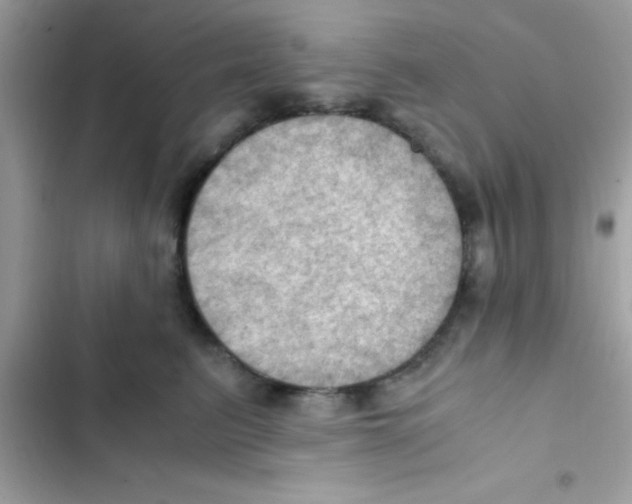 X0000103140615200809192007