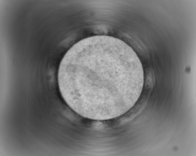 X0000103140616200809192007