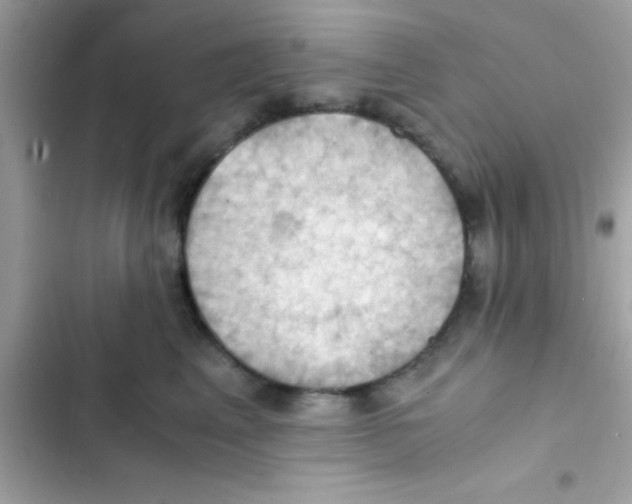 X0000103140617200809192007