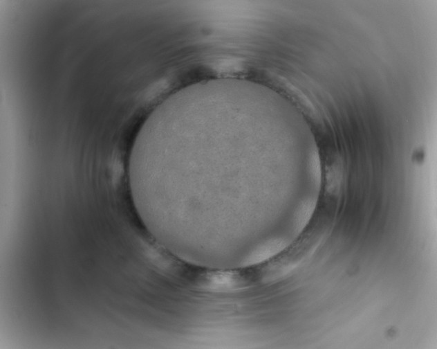 X0000103140618200809192007