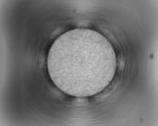 X0000103140619200809192007