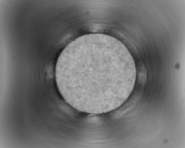 X0000103140620200809192007