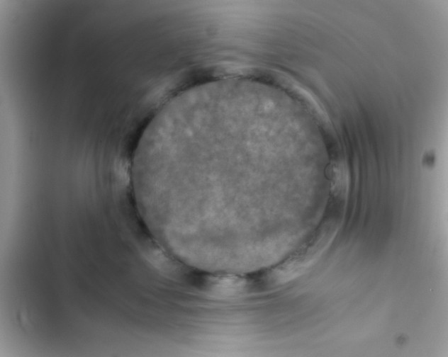 X0000103140621200809192007