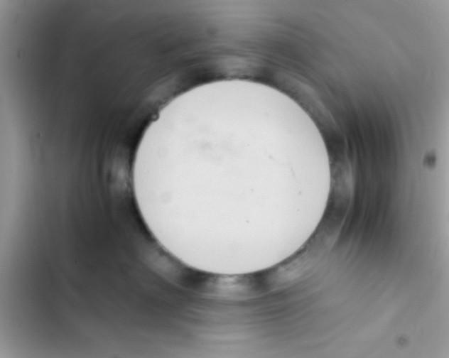 X0000103140622200809192007