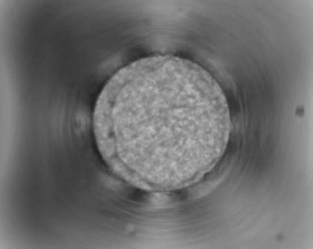 X0000103140623200809192007