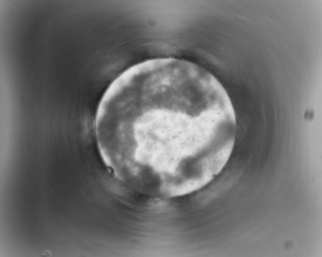 X0000103140624200809192007