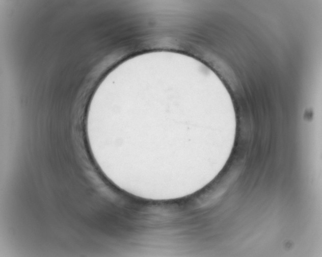 X0000103140625200809192006