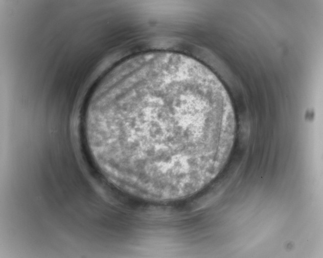 X0000103140626200809192006