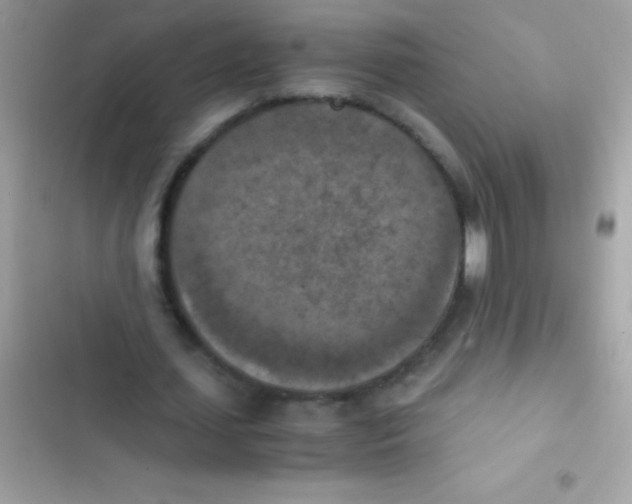 X0000103140627200809192006