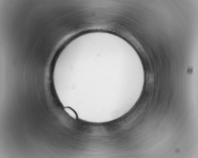 X0000103140628200809192006