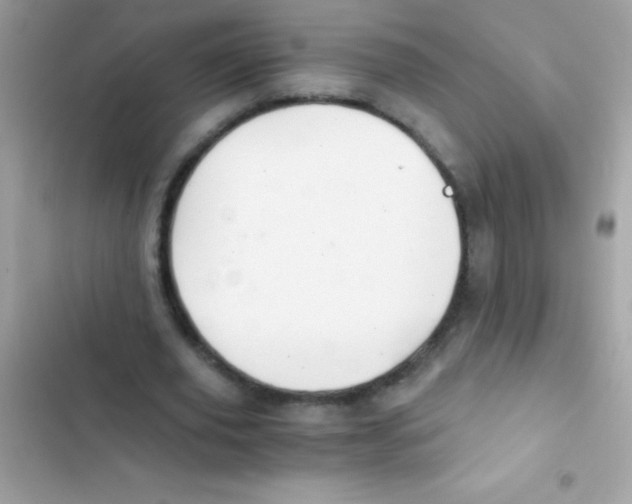 X0000103140629200809192006