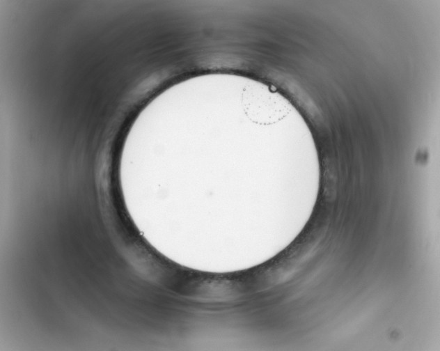 X0000103140631200809192006