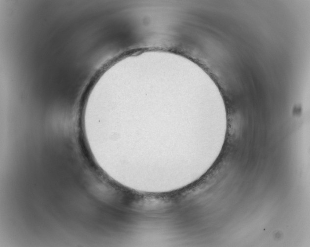 X0000103140632200809192006