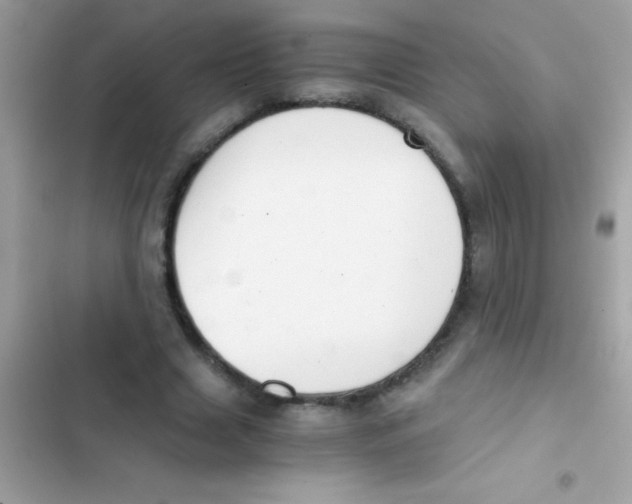 X0000103140633200809192006