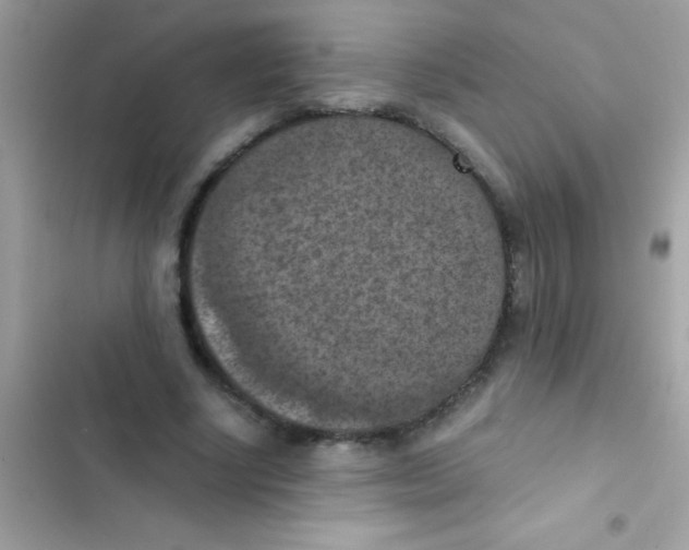 X0000103140634200809192006