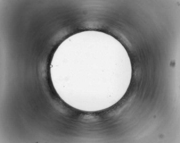 X0000103140635200809192006