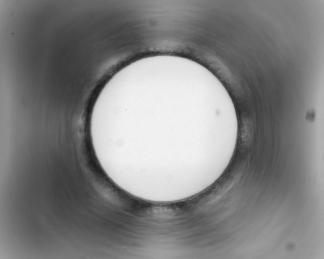 X0000103140636200809192006