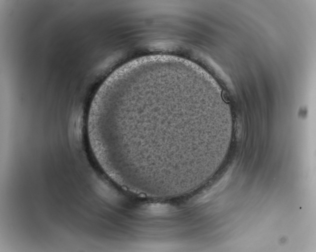 X0000103140637200809192006