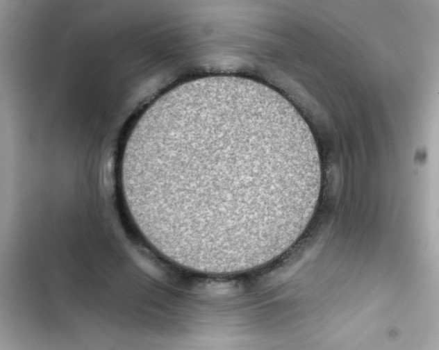 X0000103140638200809192006