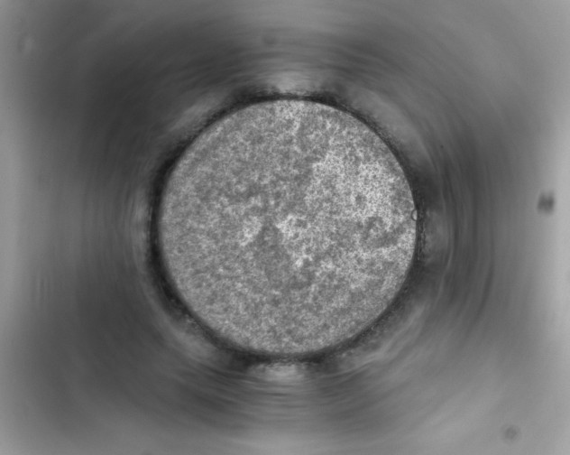 X0000103140639200809192006