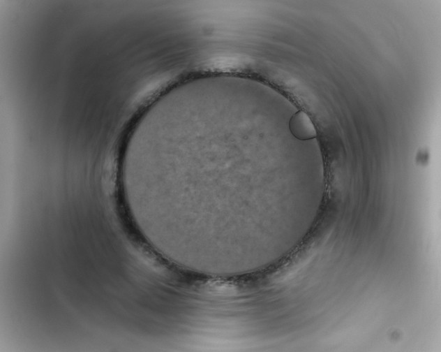 X0000103140640200809192006