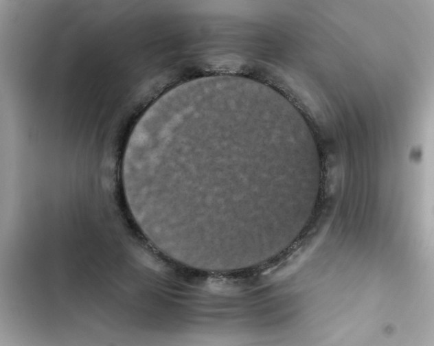 X0000103140641200809192006