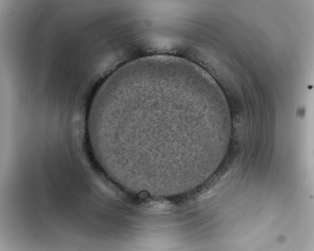 X0000103140642200809192006