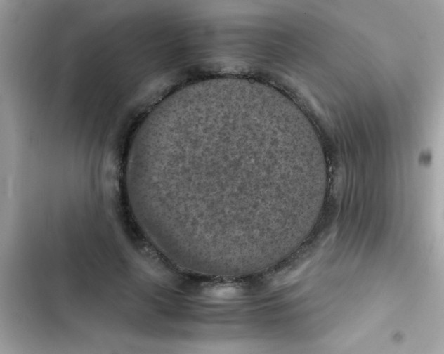 X0000103140643200809192006