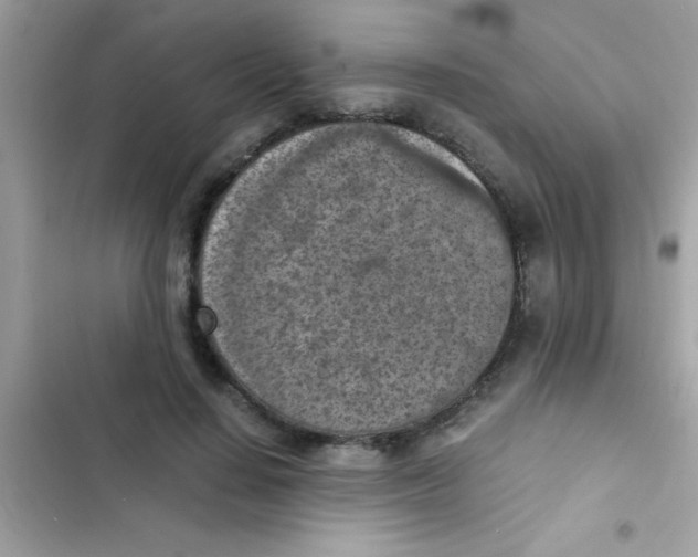 X0000103140644200809192006