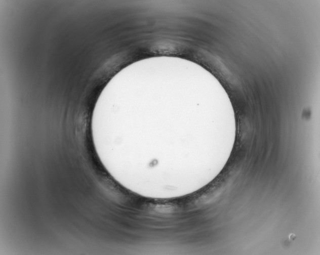 X0000103140645200809192006