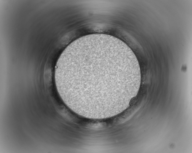 X0000103140646200809192006