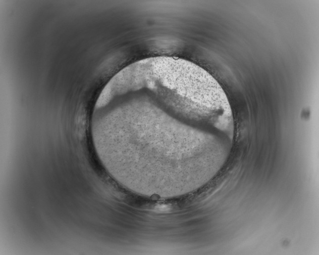 X0000103140647200809192006