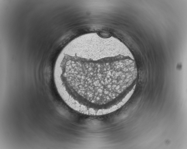 X0000103140648200809192006