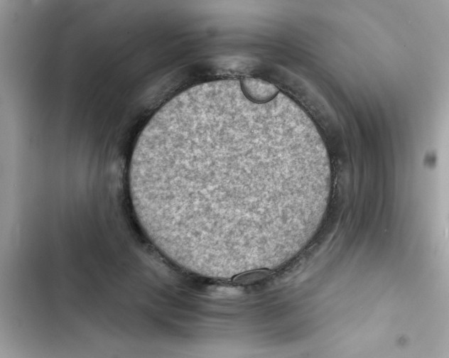 X0000103140649200809192006