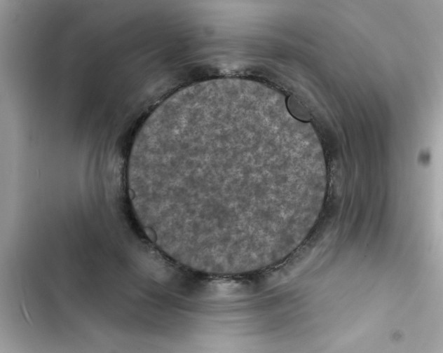 X0000103140650200809192006