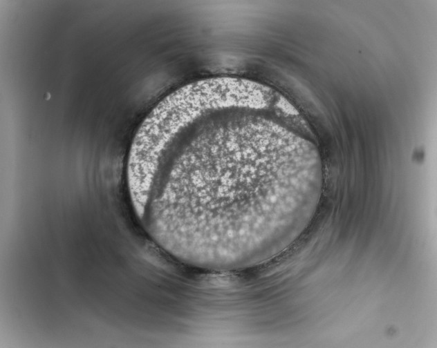 X0000103140652200809192006