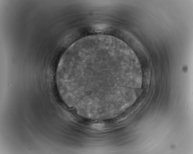 X0000103140653200809192006