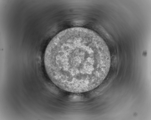 X0000103140655200809192006