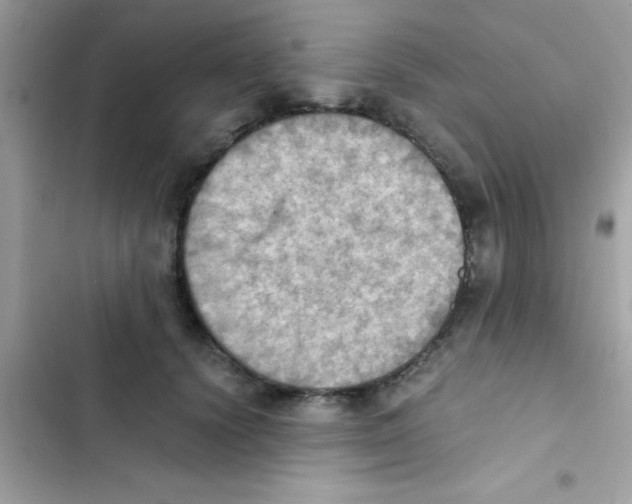 X0000103140656200809192006