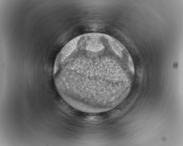 X0000103140657200809192006