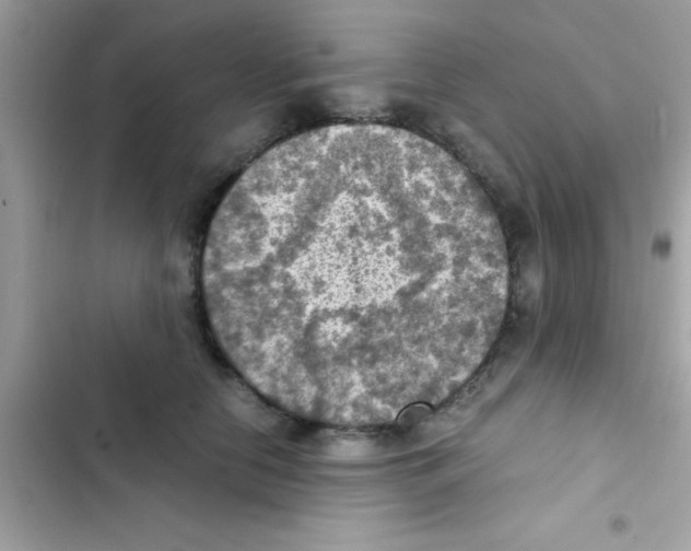 X0000103140658200809192006