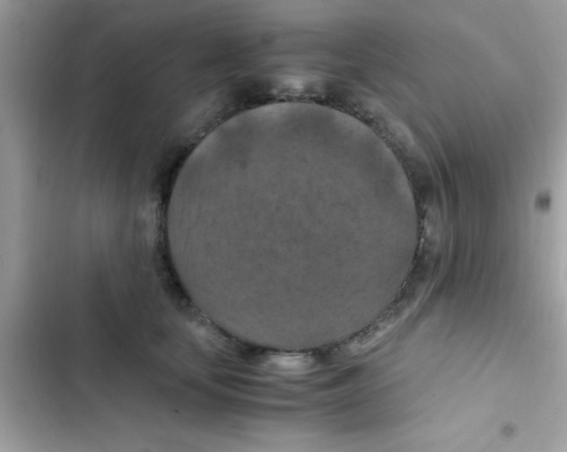 X0000103140659200809192006