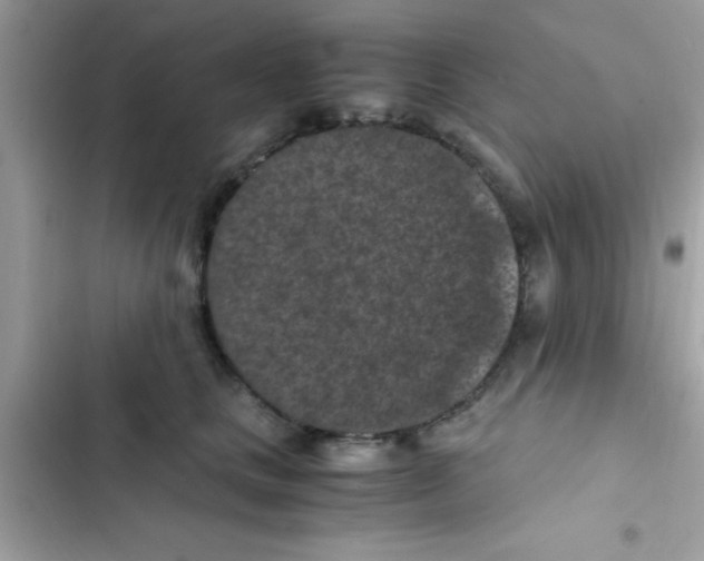 X0000103140661200809192006