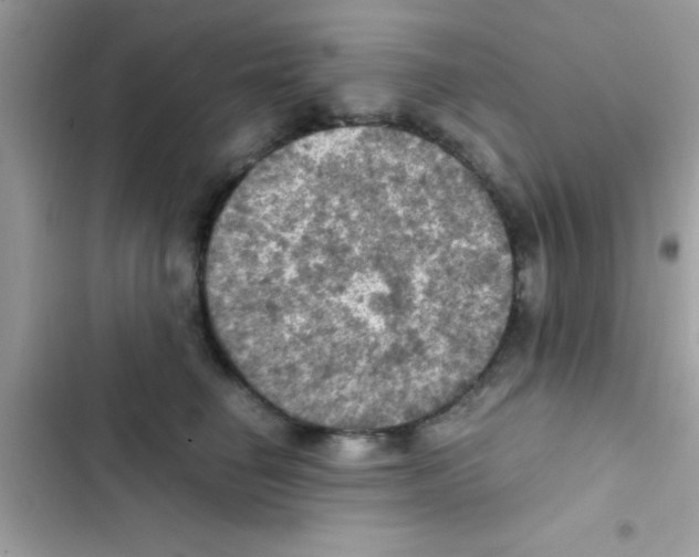 X0000103140662200809192006