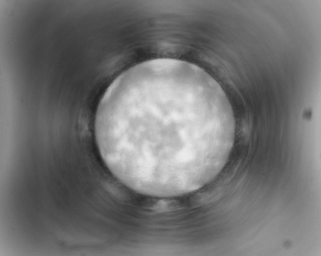 X0000103140663200809192006