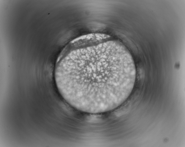 X0000103140664200809192006