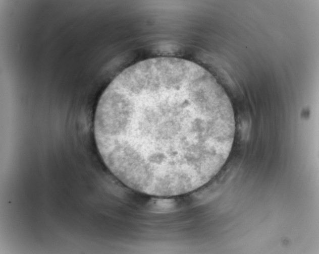 X0000103140665200809192006